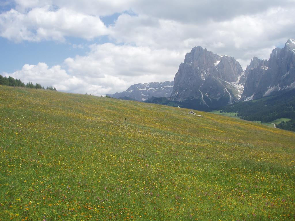 Garni La Majon Hotel Selva di Val Gardena Exterior foto
