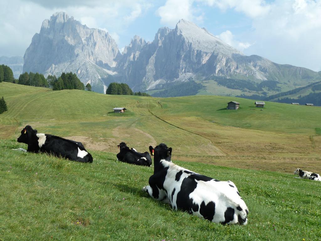 Garni La Majon Hotel Selva di Val Gardena Exterior foto